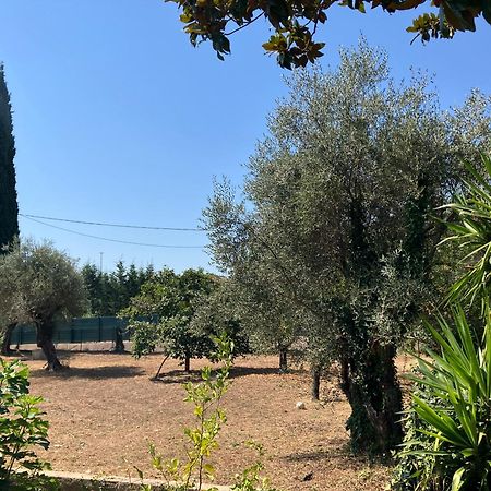 Villa Thyziri Roquefort-les-Pins Eksteriør bilde