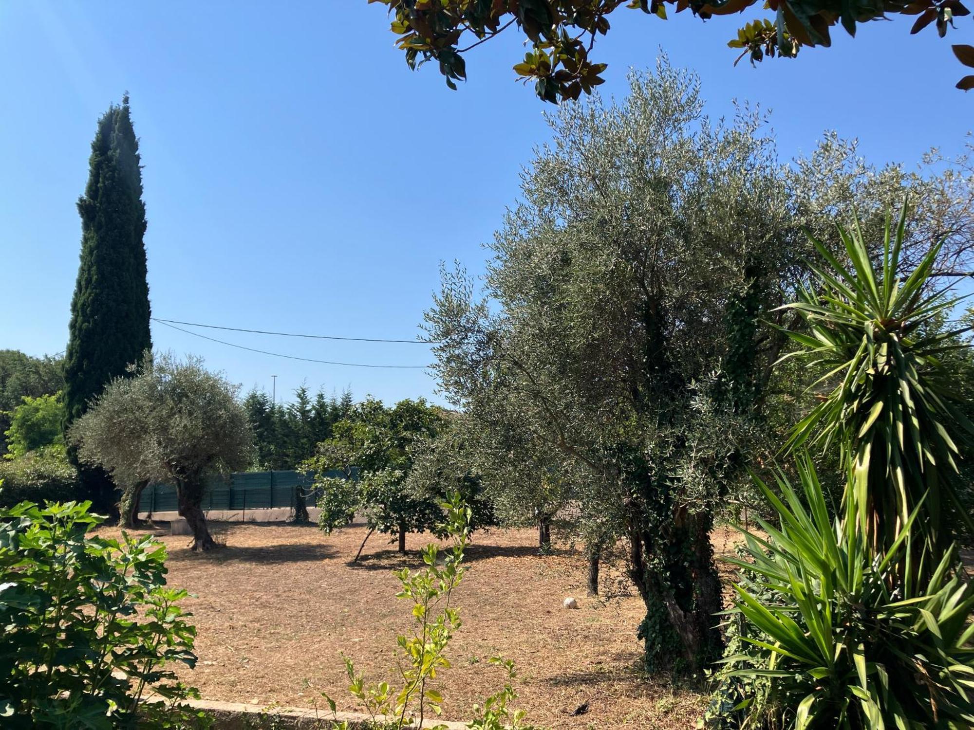 Villa Thyziri Roquefort-les-Pins Eksteriør bilde