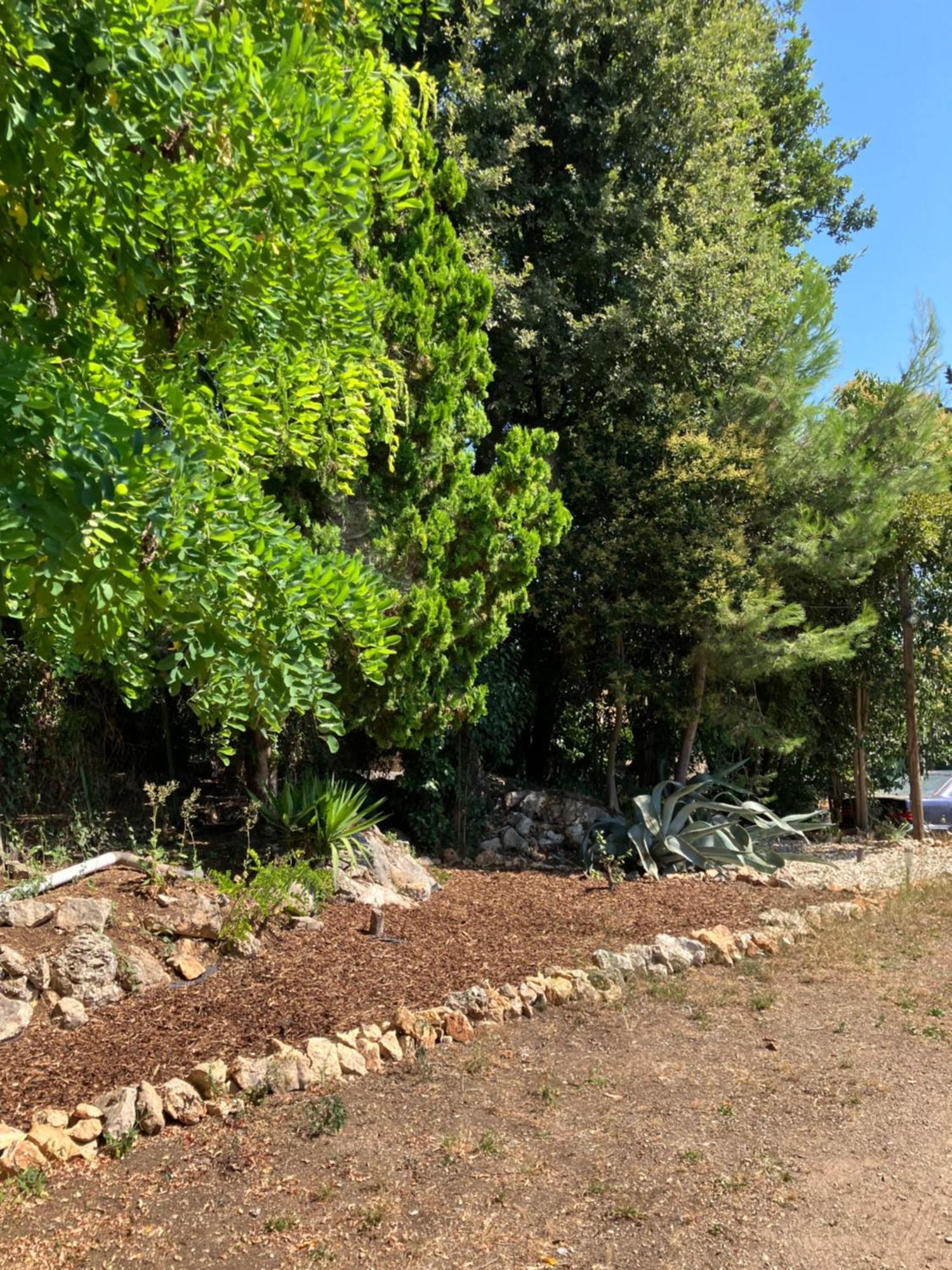 Villa Thyziri Roquefort-les-Pins Eksteriør bilde